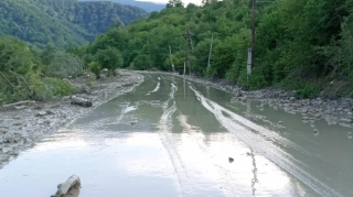 Qubada iribuynuzlu heyvanları sel aparıb