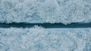 Hava şəraiti ilə bağlı avtomobil yollarının vəziyyəti açıqlanıb 