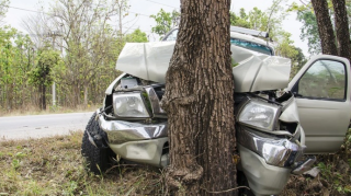 В Азербайджане женщина-водитель влетела в дерево, чтобы не сбить собаку 
