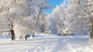 Завтра тоже пойдет снег, местами интенсивный – ПРОГНОЗ ПОГОДЫ 
