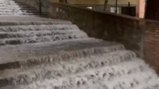 Ermənilər işğal altındakı torpaqlarda sərvətlərimizi belə talayır - ŞOK YENİLİKLƏR 