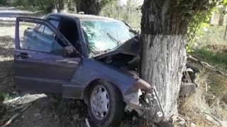 Masallıda "Mercedes"  ağaca çırpıldı, sürücü öldü 