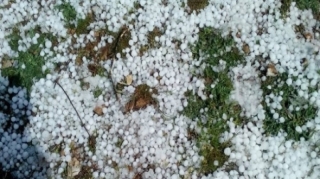 Gədəbəyə dolu düşüb 