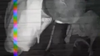 Dayanacaqdan kənarda avtobusa minmək istəyən şəxs sürücüyə xəsarət yetirib   - VİDEO - YENİLƏNİB