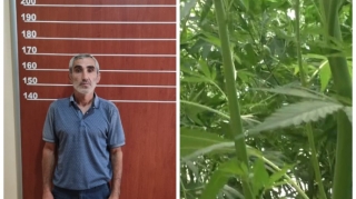 Samuxda narkotik yetişdirən şəxs saxlanılıb   - FOTO