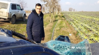 Bərdədə avtomobil atı vurub - FOTO 
