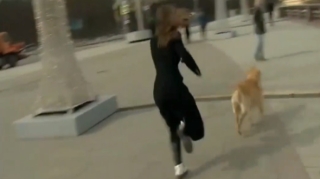 İt canlı yayımda jurnalistin mikrofonunu OĞURLADI - VİDEO 