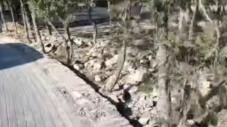 Restoran tikintisi üçün hasarlanan parkdan yeni xəbər - VİDEO 