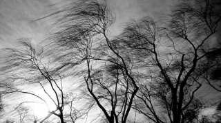 Sabah güclü külək əsəcək, leysan xarakterli yağış yağacaq