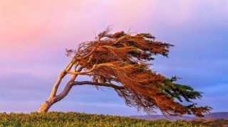 İki gün güclü külək əsəcək - XƏBƏRDARLIQ 