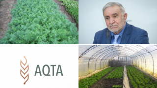 Azərbaycana İrandan üstündə zərərli maddə olan göyərti gətirilir? – RƏSMİ AÇIQLAMA  - VİDEO