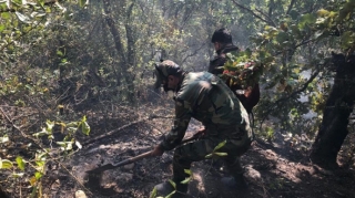 Meşə yanğınları turizmə nə qədər ziyan vurub?