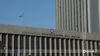 Sabiq deputata ağac kəsdiyi üçün cinayət işi açıldı - FOTO 