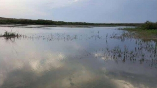 Korçay qoruğunda mühafizə rejimini pozan şəxslər cəzalandırılıb 