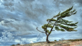 Sabah Bakı və bəzi bölgələrdə külək güclənəcək - SARI XƏBƏRDARLIQ 