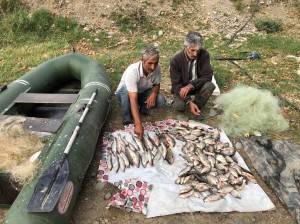 Balıqların kütləvi məhvi ilə məşğul olan şəxslər saxlanılıb - VİDEO