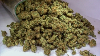 Ağcabədi sakinindən 7 kq-dan artıq qurudulmuş marixuana götürülüb