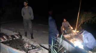 Brakonyer milli parkın mühafizəçilərinə atəş açıb - FOTO 