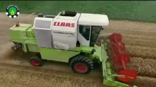  Aqrolizinq ASC taxıl biçini ilə bağlı işləri davam etdirir  - VİDEO