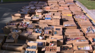 Ölkəyə 300 minlik pirotexniki vasitə gətirən şəxs saxlanıldı   - FOTO - VİDEO