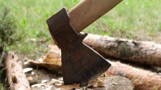 Balakəndə ağacların kəsilməsinə görə cinayət işi açılıb 