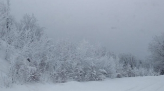 Milli parklardan qar görüntüləri - FOTO 