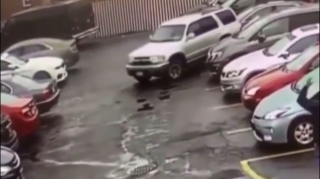 Diqqətsiz sürücü parklama edə bilmədi - Avtomobillərə ziyan vurdu  - VİDEO