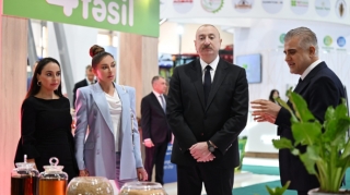 Prezident və xanımı sərgilərlə tanış oldu - FOTOLAR 