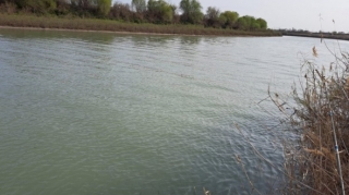 Bu rayonlarda təhlükəli vəziyyət yarandı - Hansı tədbirlər görülür? 