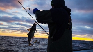 Bu gündən balıq ovu qadağan edilir 