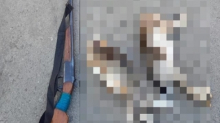 Ağcabədidə qanunsuz ov edənlər saxlanıldı  - FOTO