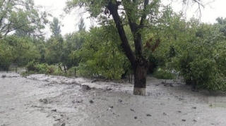 Zaqatalanın kəndləri sel suları altında qalıb: Magistral yol bağlanıb - FOTO 