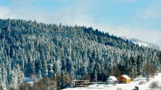 Gürcüstanda ilə qış turizm zonalarının fəaliyyəti dayandırılır