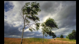Sabah hava küləkli olacaq