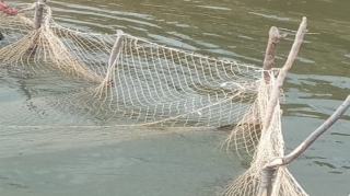Qanunsuz balıq ovu edən şəxslərdən 20 sintetik tor götürülüb - FOTO 