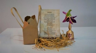 Vətən müharibəsinin arxa cəbhə fəalı Sabit Məmmədov mükafatlandırıldı - FOTO 