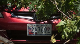 Dövlət nömrə nişanında qumar oyunları reklam olunur 