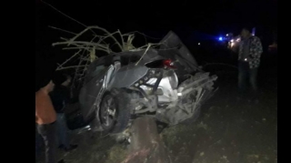 В Гейчае автомобиль врезался в дерево, погибли три человека  - ФОТО