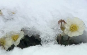 Azərbaycanda Kiçik çillə başa çatdı