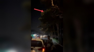 Bu yolda sürət həddini aşmayın: Ağacların arasında radar var - VİDEO