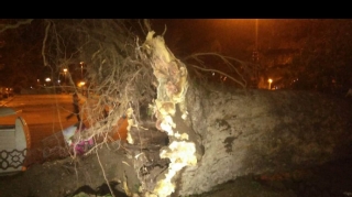 Əlverişsiz hava şəraiti qərb rayonlarında fəsadlar törədib  - FOTO