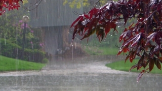 Bəzi rayonlara leysan xarakterli yağış yağıb, dolu düşüb - FAKTİKİ HAVA 