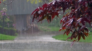 Şənbə günü yağış yağacaq 