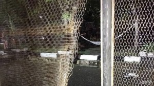 Həbsxanadan 110-dan çox məhbus qaçıb