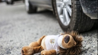 Gədəbəydə sürücü yolu keçməyə çalışan azyaşlını vurdu