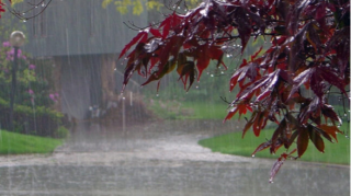 В Азербайджане продолжается ливень - ФАКТИЧЕСКАЯ ПОГОДА 