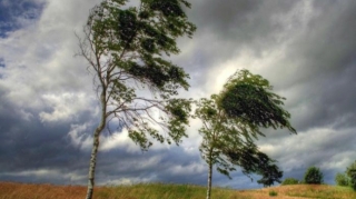 Küləkli hava şəraiti ilə bağlı SARI XƏBƏRDARLIQ 