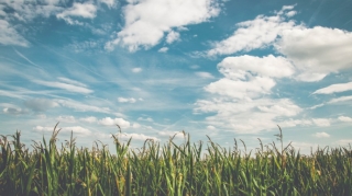 Yaxın üç gün ərzində gözlənilən hava şəraiti açıqlanıb