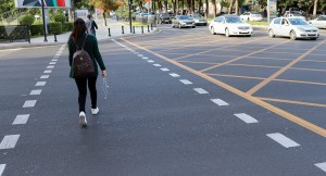 Yol hərəkətində insan hüquq və azadlıqları: həllini gözləyən problemlər 