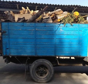 Şamaxıda reyd: “QAZ-52”dən doğranmış ağac materialları aşkar olunub - FOTO